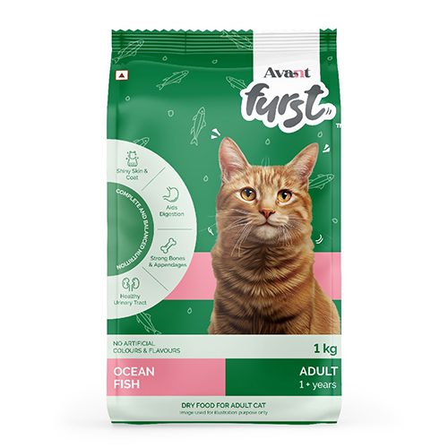 adult-cat-food-1