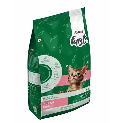 kitten-food-2